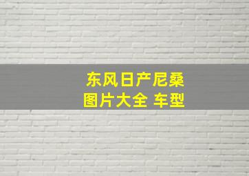 东风日产尼桑图片大全 车型